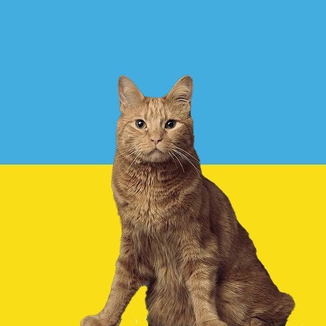 orangeisthenewblackandtan